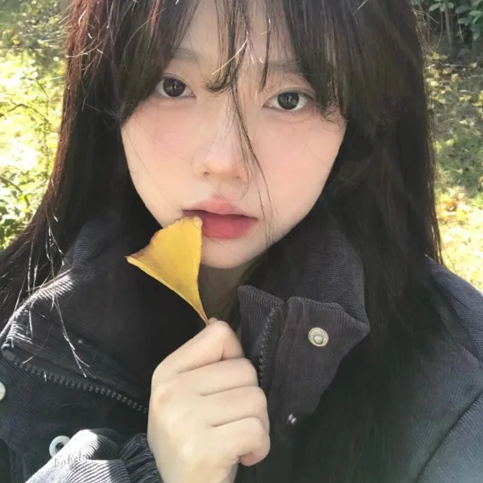 戆子记